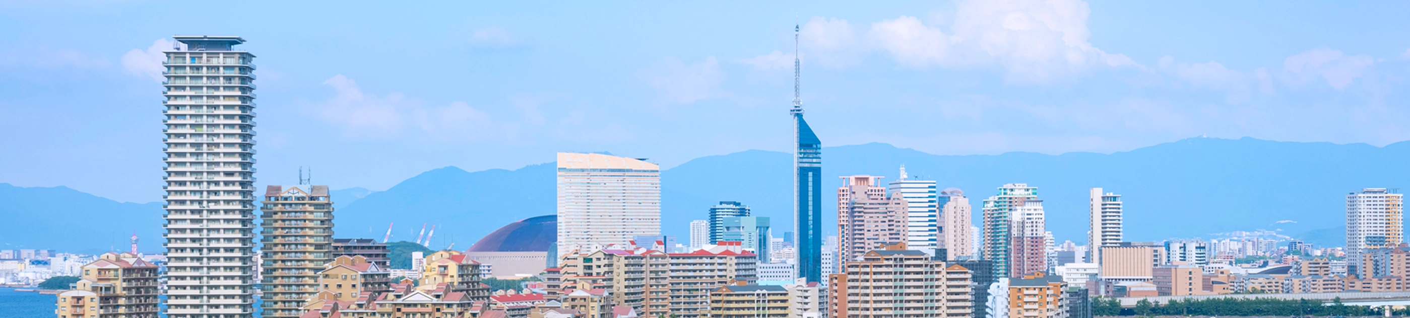 会社概要・採用情報